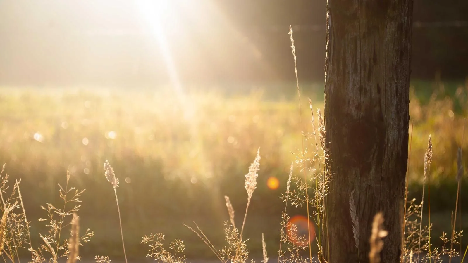 How to Build a Cooling Evening Ritual