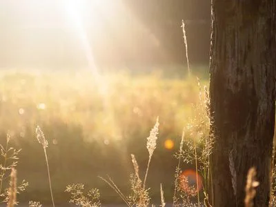 How to Build a Cooling Evening Ritual
