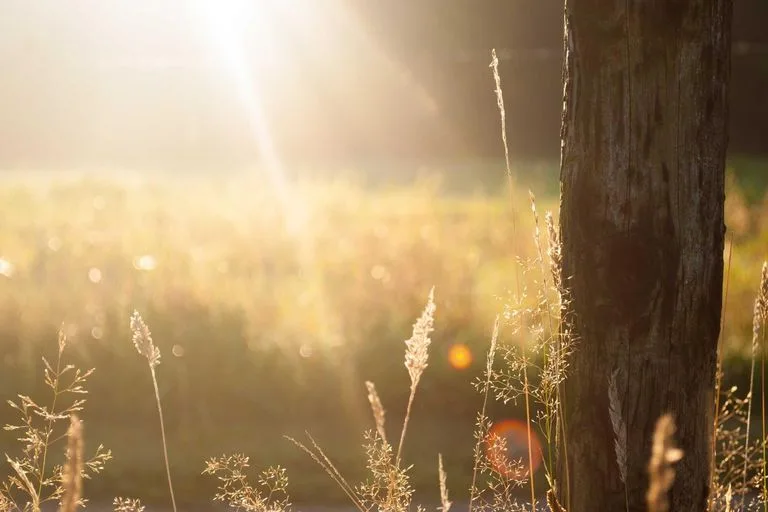 How to Build a Cooling Evening Ritual
