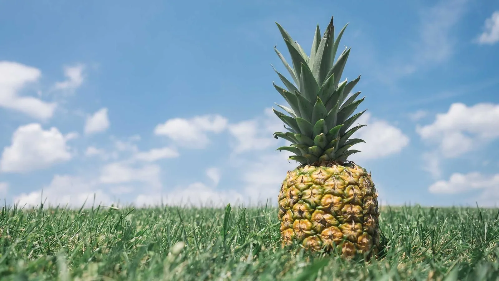Nutrition Habits That Survive a Packed Calendar